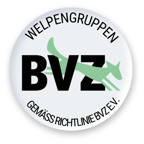 Welpengruppen gemäß Richtlinie BVZ E.V.
